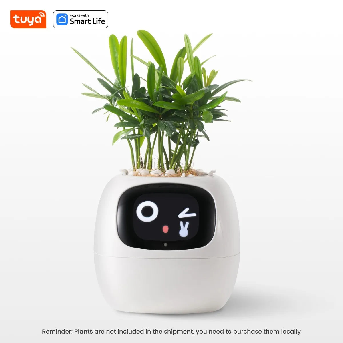 Plantopia - AI Smart Planter