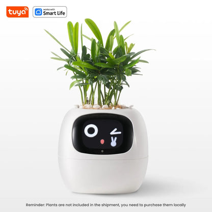 Plantopia - AI Smart Planter