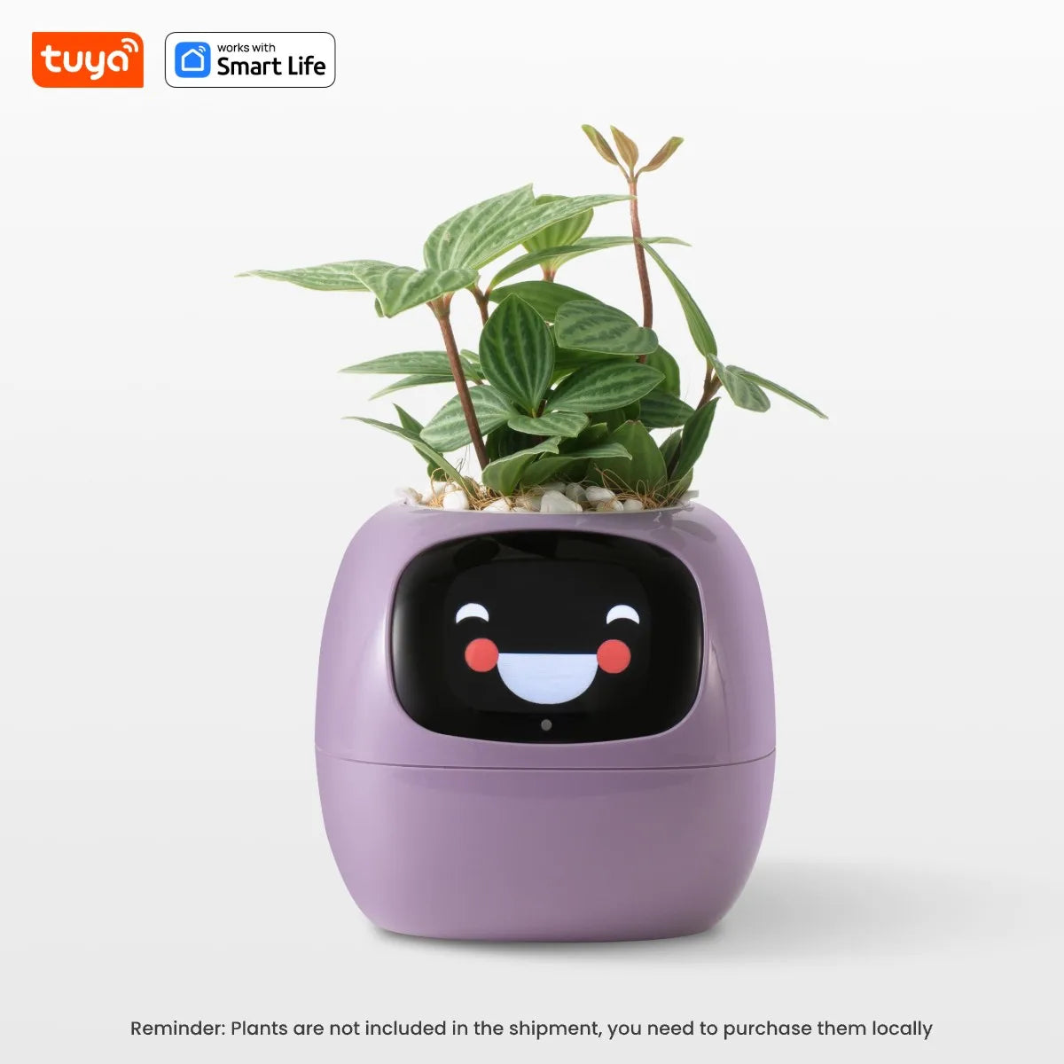 Plantopia - AI Smart Planter