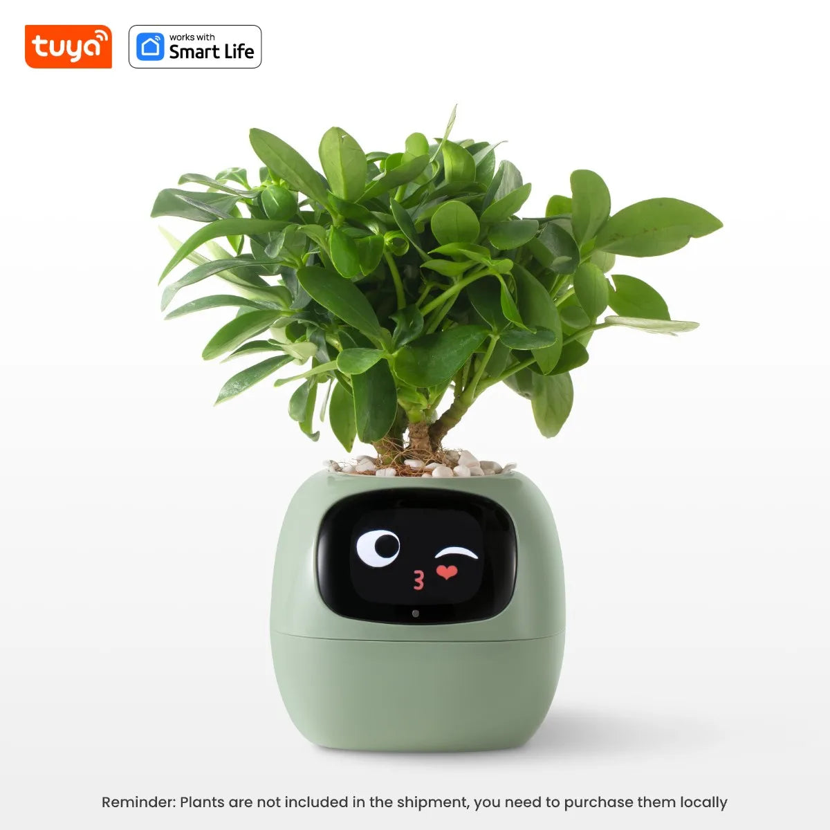 Plantopia - AI Smart Planter
