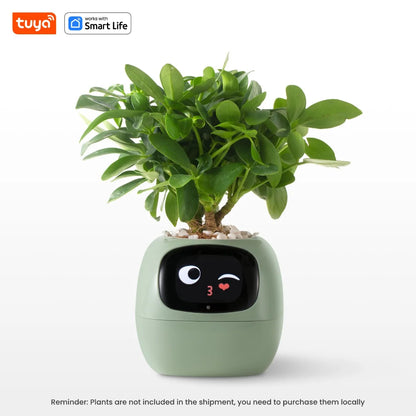 Plantopia - AI Smart Planter